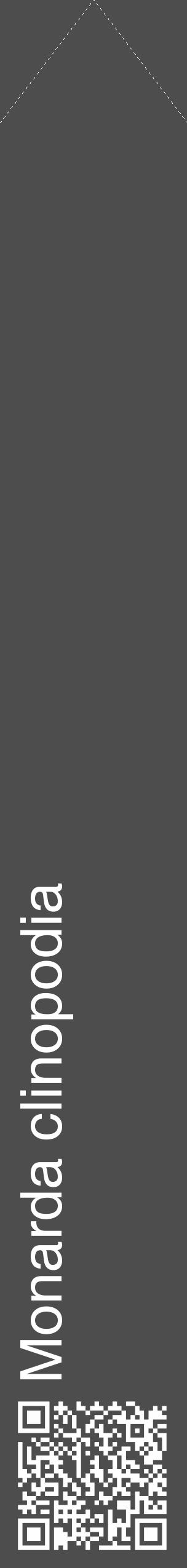 Étiquette de : Monarda clinopodia - format c - style blanche28_simple_simplehel avec qrcode et comestibilité - position verticale