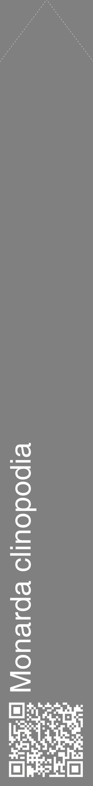 Étiquette de : Monarda clinopodia - format c - style blanche57_simplehel avec qrcode et comestibilité