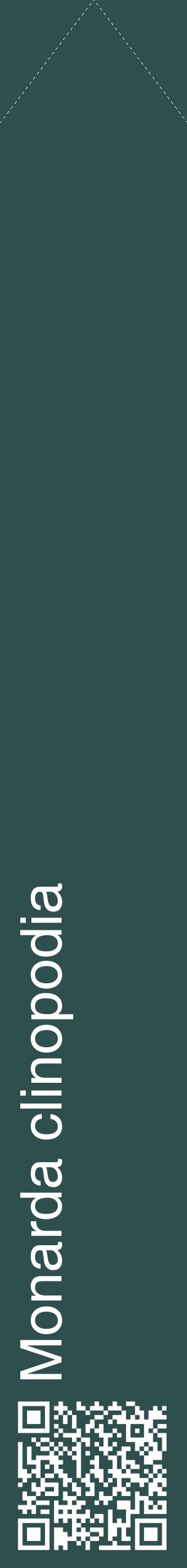 Étiquette de : Monarda clinopodia - format c - style blanche58_simplehel avec qrcode et comestibilité