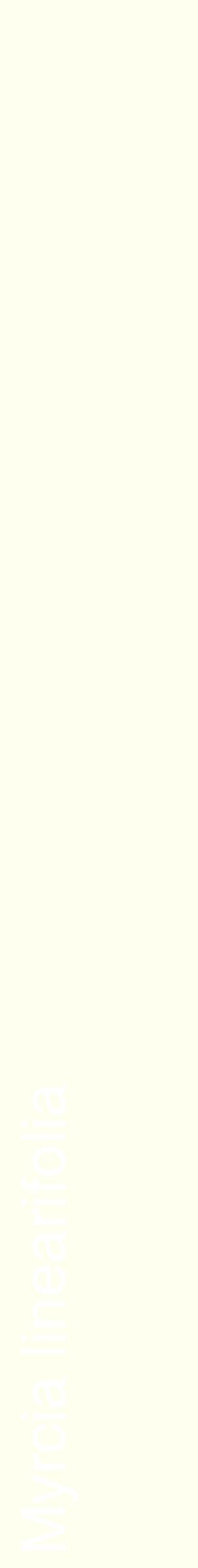 Étiquette de : Myrcia linearifolia - format c - style blanche19_simplehel avec comestibilité