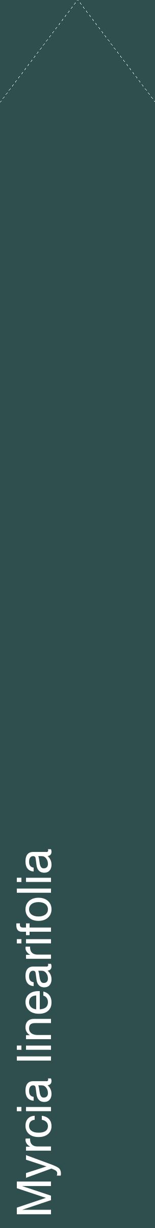 Étiquette de : Myrcia linearifolia - format c - style blanche58_simplehel avec comestibilité