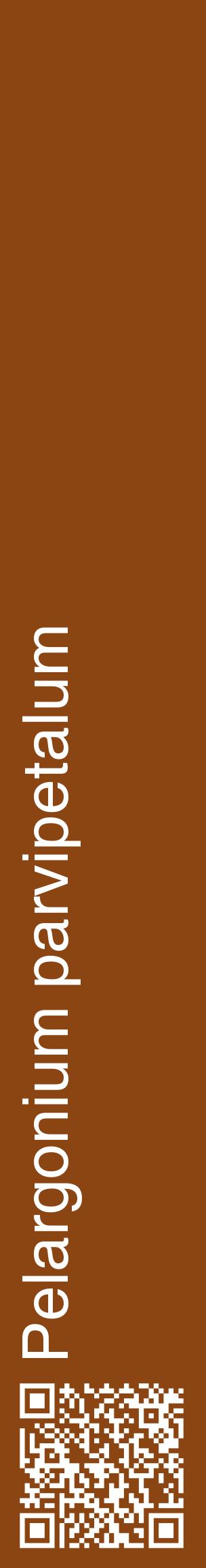Étiquette de : Pelargonium parvipetalum - format c - style blanche30_basiquehel avec qrcode et comestibilité