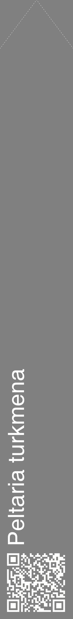 Étiquette de : Peltaria turkmena - format c - style blanche57_simplehel avec qrcode et comestibilité