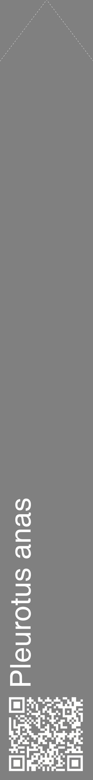 Étiquette de : Pleurotus anas - format c - style blanche57_simplehel avec qrcode et comestibilité