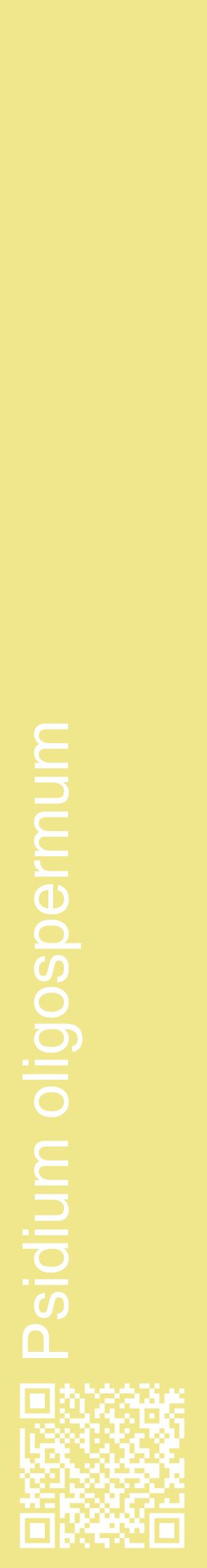 Étiquette de : Psidium oligospermum - format c - style blanche20_basiquehel avec qrcode et comestibilité