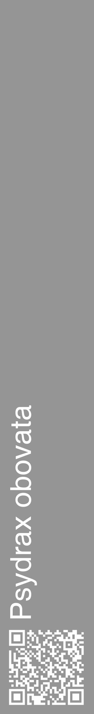 Étiquette de : Psydrax obovata - format c - style blanche16_basique_basiquehel avec qrcode et comestibilité - position verticale