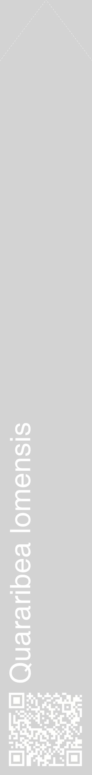 Étiquette de : Quararibea lomensis - format c - style blanche56_simplehel avec qrcode et comestibilité