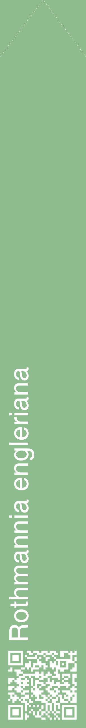 Étiquette de : Rothmannia engleriana - format c - style blanche13_simplehel avec qrcode et comestibilité