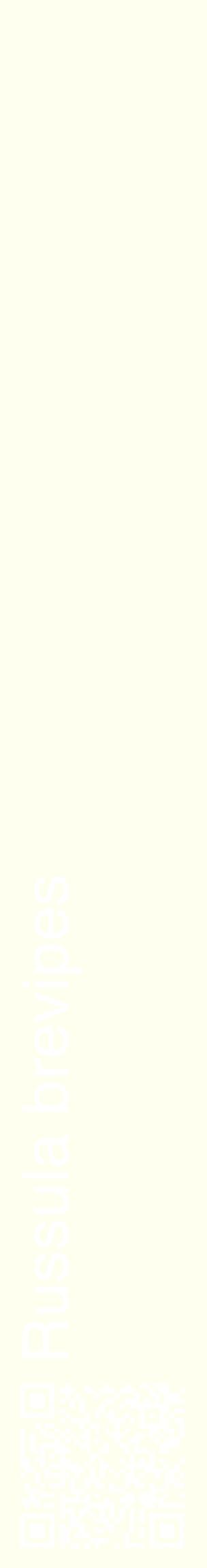 Étiquette de : Russula brevipes - format c - style blanche19_basiquehel avec qrcode et comestibilité