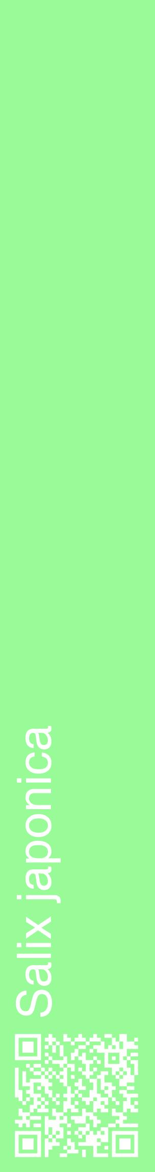 Étiquette de : Salix japonica - format c - style blanche14_basiquehel avec qrcode et comestibilité