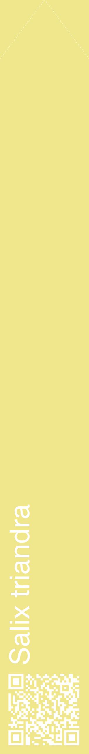 Étiquette de : Salix triandra - format c - style blanche20_simplehel avec qrcode et comestibilité