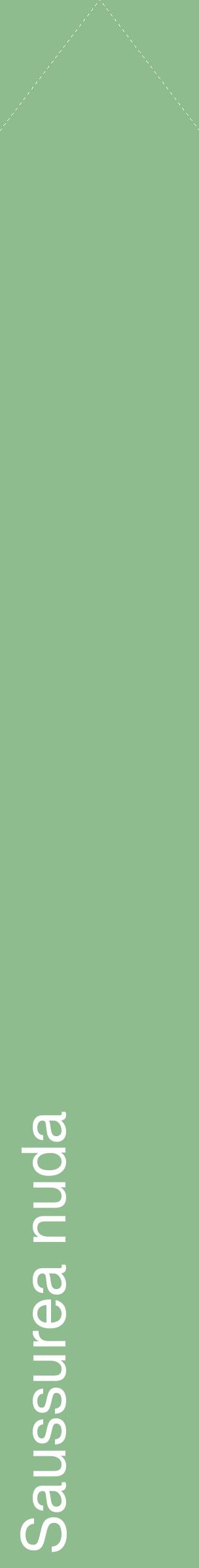 Étiquette de : Saussurea nuda - format c - style blanche13_simplehel avec comestibilité