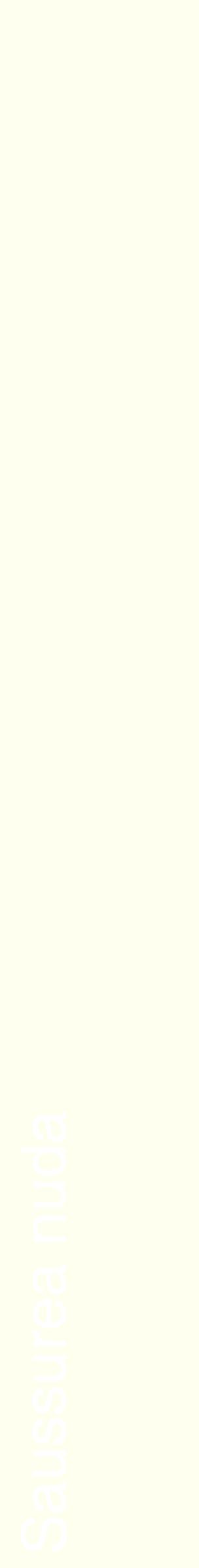 Étiquette de : Saussurea nuda - format c - style blanche19_simplehel avec comestibilité