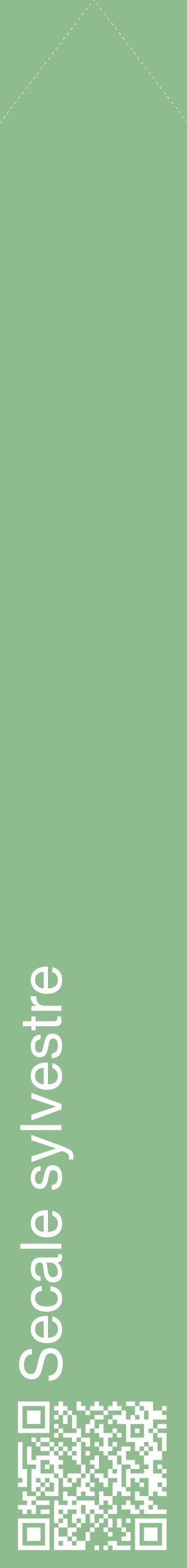 Étiquette de : Secale sylvestre - format c - style blanche13_simplehel avec qrcode et comestibilité