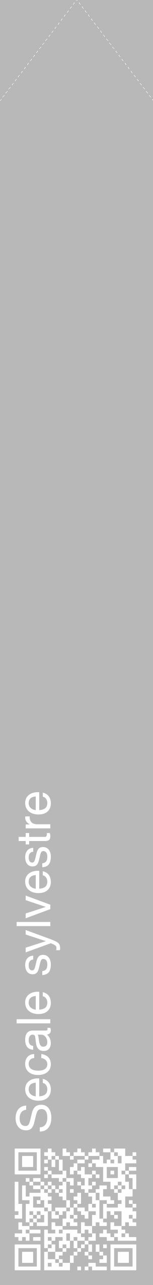 Étiquette de : Secale sylvestre - format c - style blanche39_simple_simplehel avec qrcode et comestibilité - position verticale