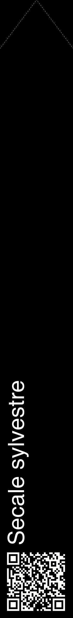 Étiquette de : Secale sylvestre - format c - style blanche59_simplehel avec qrcode et comestibilité