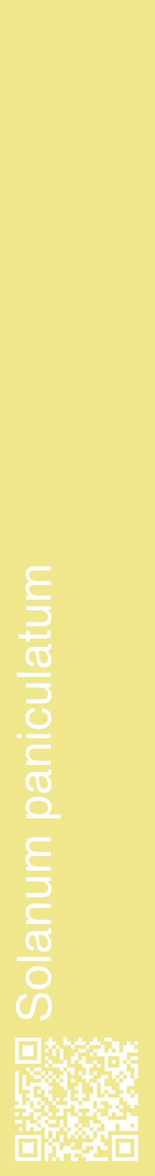 Étiquette de : Solanum paniculatum - format c - style blanche20_basiquehel avec qrcode et comestibilité