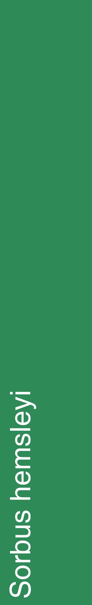 Étiquette de : Sorbus hemsleyi - format c - style blanche11_basiquehel avec comestibilité