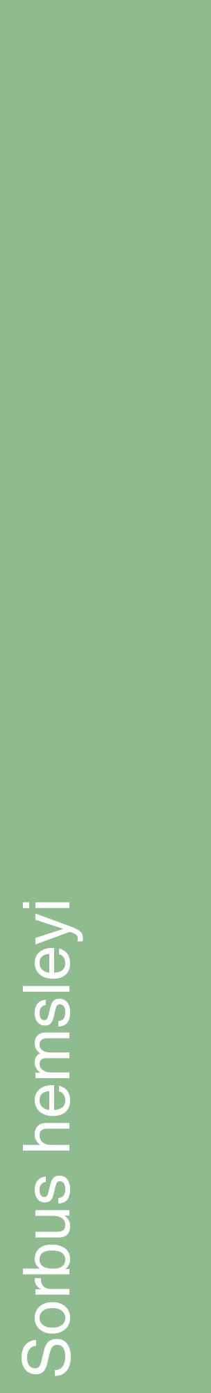 Étiquette de : Sorbus hemsleyi - format c - style blanche13_basiquehel avec comestibilité