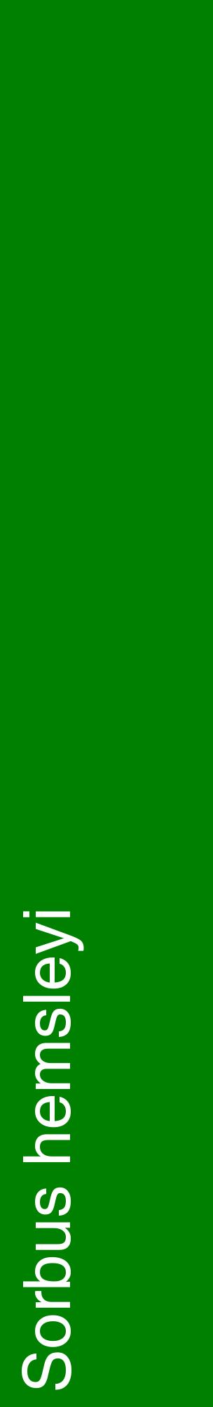 Étiquette de : Sorbus hemsleyi - format c - style blanche9_basiquehel avec comestibilité