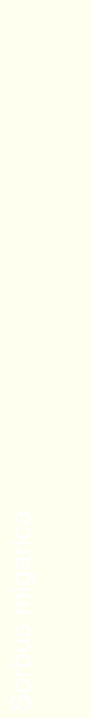 Étiquette de : Sorbus migarica - format c - style blanche19_simplehel avec comestibilité