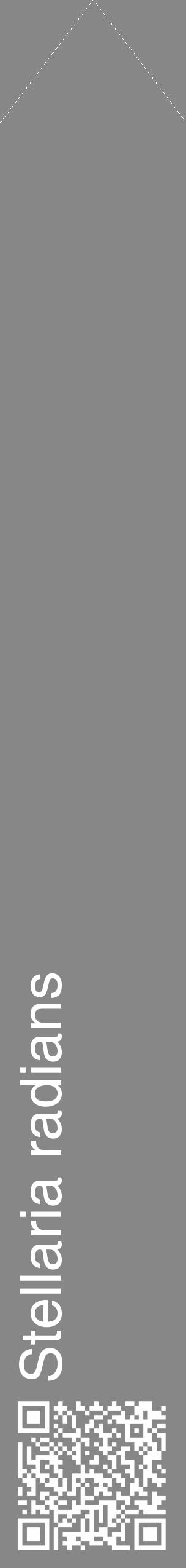 Étiquette de : Stellaria radians - format c - style blanche12_simple_simplehel avec qrcode et comestibilité - position verticale