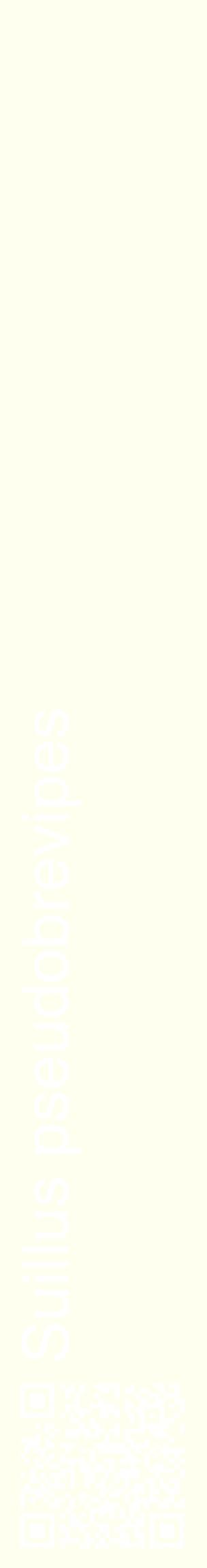 Étiquette de : Suillus pseudobrevipes - format c - style blanche19_basiquehel avec qrcode et comestibilité