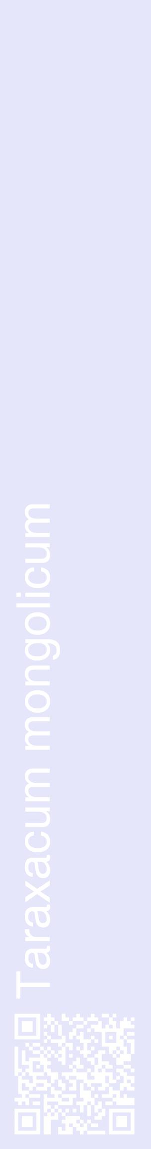 Étiquette de : Taraxacum mongolicum - format c - style blanche55_basiquehel avec qrcode et comestibilité