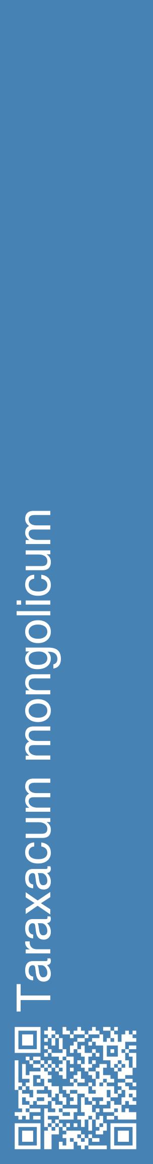 Étiquette de : Taraxacum mongolicum - format c - style blanche5_basiquehel avec qrcode et comestibilité