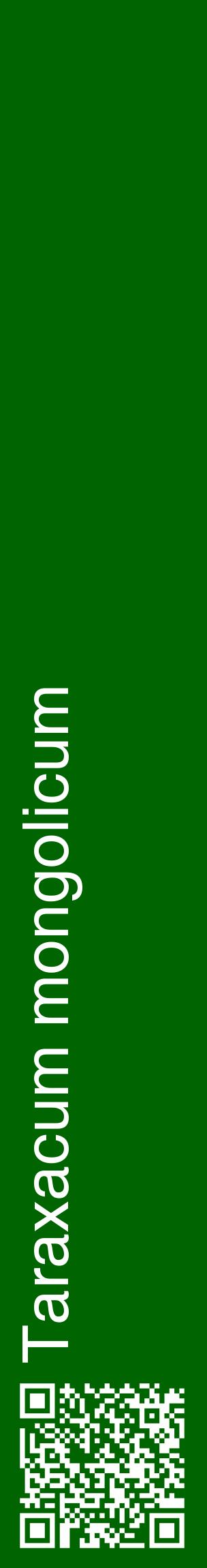 Étiquette de : Taraxacum mongolicum - format c - style blanche8_basiquehel avec qrcode et comestibilité