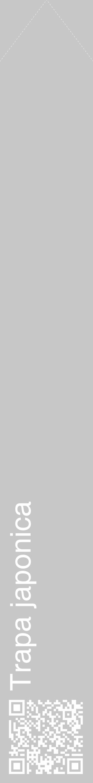 Étiquette de : Trapa japonica - format c - style blanche15_simple_simplehel avec qrcode et comestibilité - position verticale