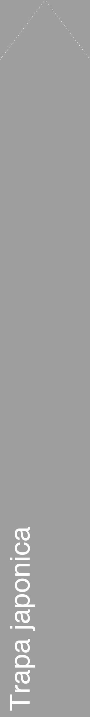 Étiquette de : Trapa japonica - format c - style blanche42_simple_simplehel avec comestibilité - position verticale