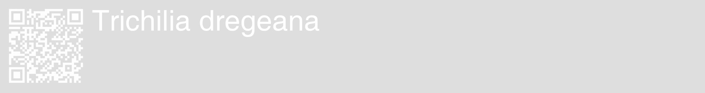 Étiquette de : Trichilia dregeana - format c - style blanche20_basique_basiquehel avec qrcode et comestibilité