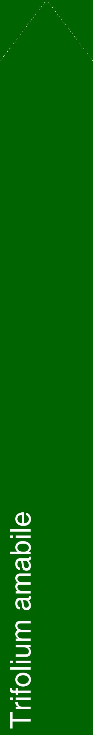 Étiquette de : Trifolium amabile - format c - style blanche8_simplehel avec comestibilité