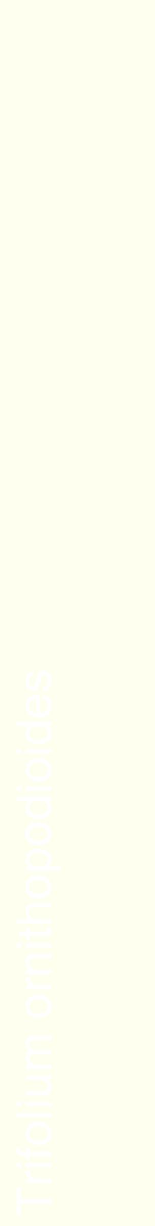 Étiquette de : Trifolium ornithopodioides - format c - style blanche19_simplehel avec comestibilité