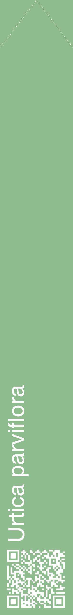 Étiquette de : Urtica parviflora - format c - style blanche13_simplehel avec qrcode et comestibilité