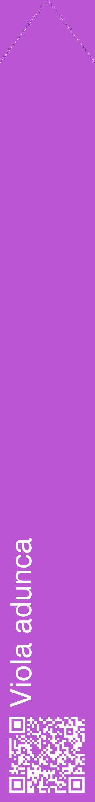 Étiquette de : Viola adunca - format c - style blanche50_simplehel avec qrcode et comestibilité