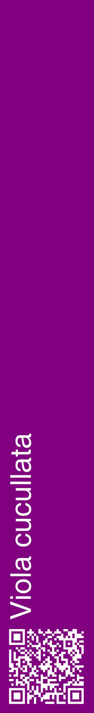Étiquette de : Viola cucullata - format c - style blanche46_basiquehel avec qrcode et comestibilité