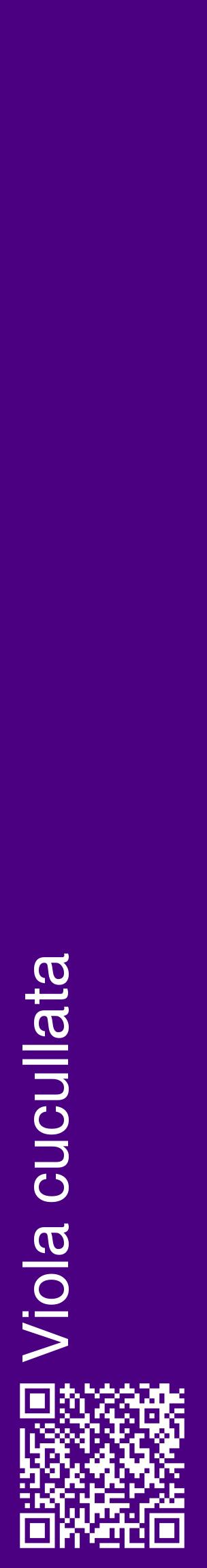 Étiquette de : Viola cucullata - format c - style blanche47_basiquehel avec qrcode et comestibilité