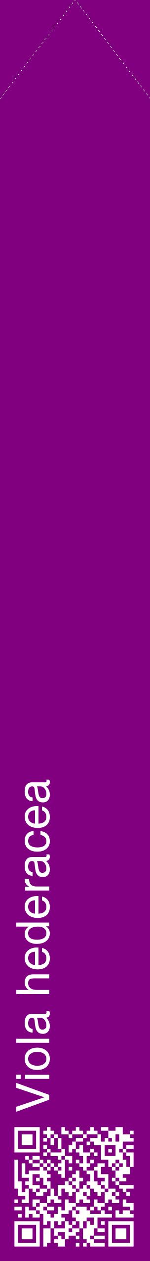 Étiquette de : Viola hederacea - format c - style blanche46_simplehel avec qrcode et comestibilité