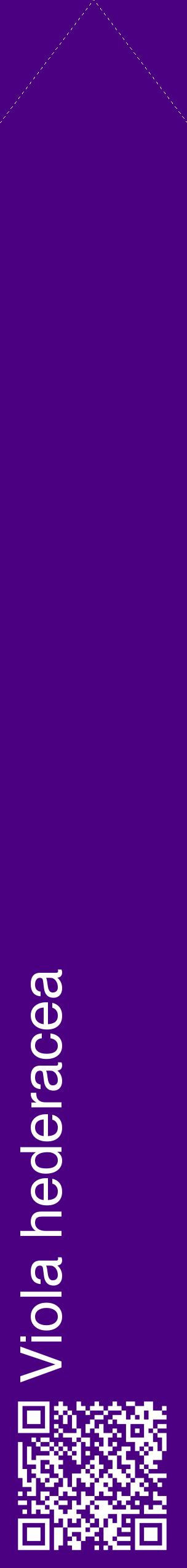 Étiquette de : Viola hederacea - format c - style blanche47_simplehel avec qrcode et comestibilité