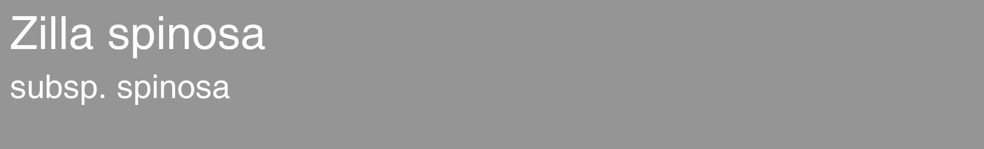 Étiquette de : Zilla spinosa subsp. spinosa - format c - style blanche16_basique_basiquehel avec comestibilité