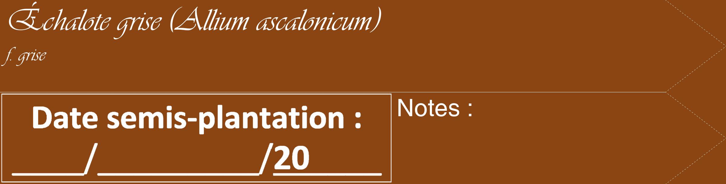 Étiquette de : Allium ascalonicum f. grise - format c - style blanche30_simple_simpleviv avec comestibilité