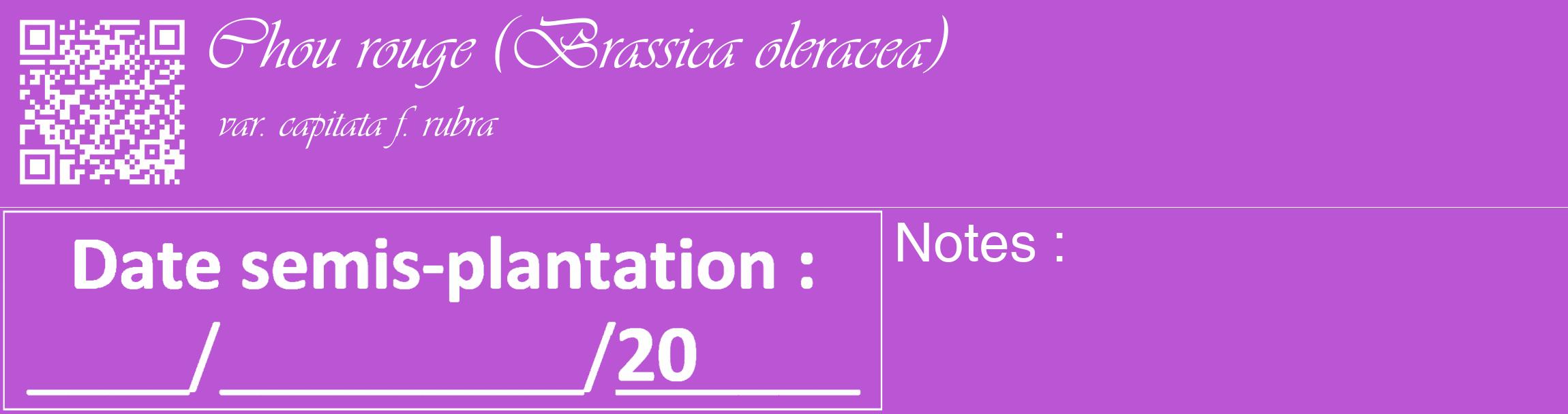 Étiquette de : Brassica oleracea var. capitata f. rubra - format c - style blanche50_basique_basiqueviv avec qrcode et comestibilité
