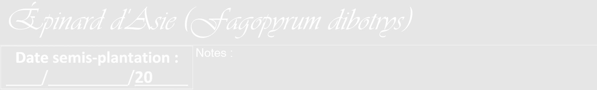Étiquette de : Fagopyrum dibotrys - format a - style blanche18viv avec comestibilité