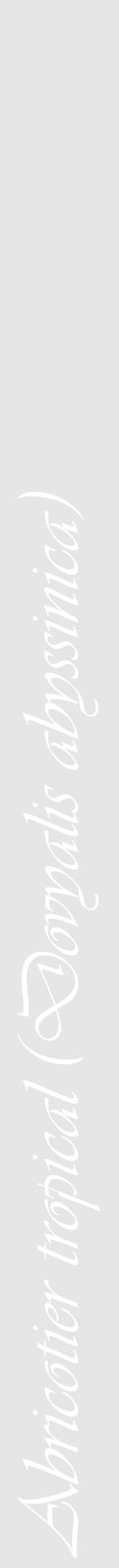 Étiquette de : Dovyalis abyssinica - format a - style blanche18viv avec comestibilité - position verticale