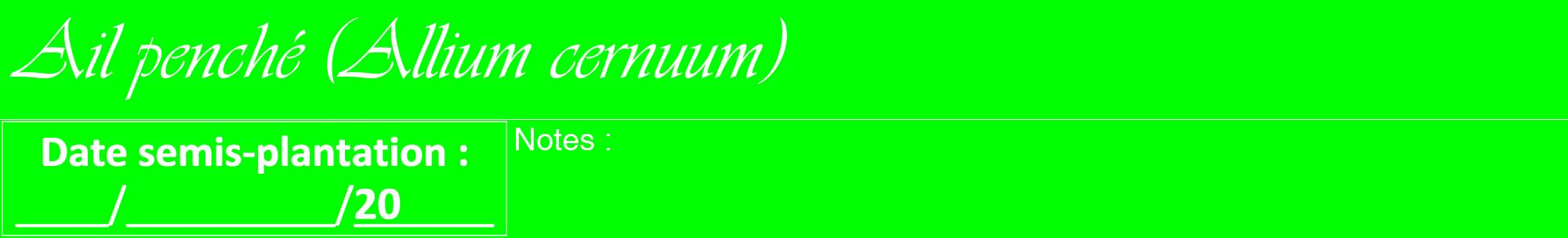 Étiquette de : Allium cernuum - format a - style blanche16viv avec comestibilité