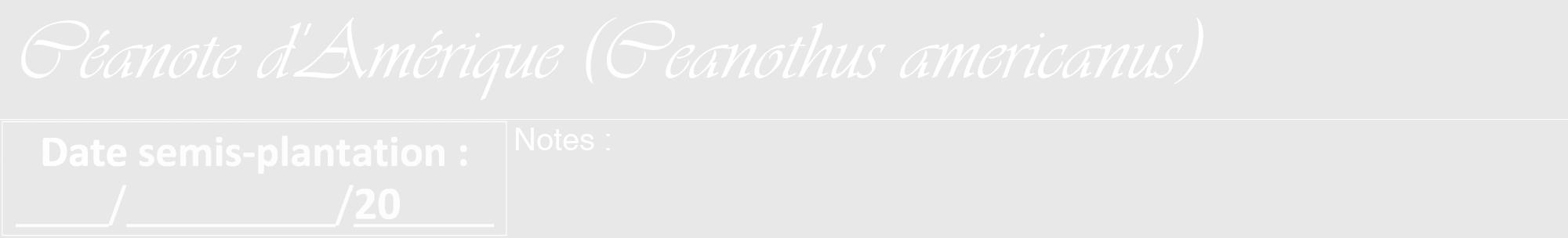 Étiquette de : Ceanothus americanus - format a - style blanche55viv avec comestibilité