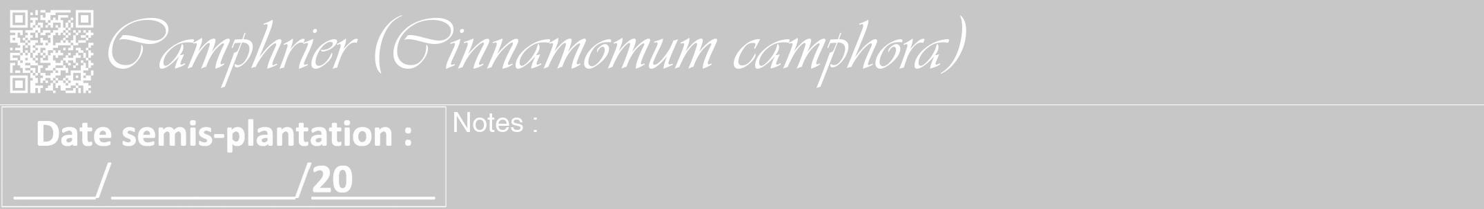 Étiquette de : Cinnamomum camphora - format a - style blanche15viv avec qrcode et comestibilité