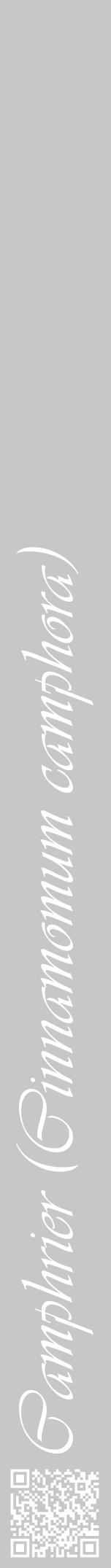 Étiquette de : Cinnamomum camphora - format a - style blanche15viv avec qrcode et comestibilité - position verticale